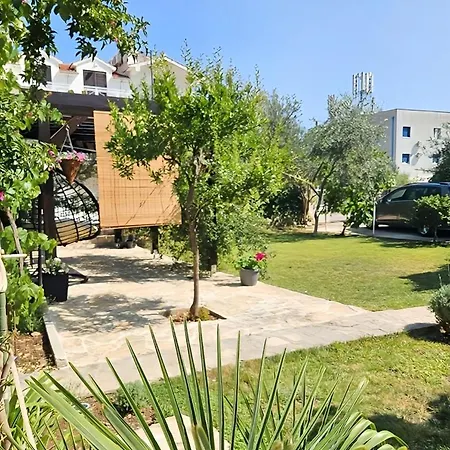 Marijana A3 沃迪切